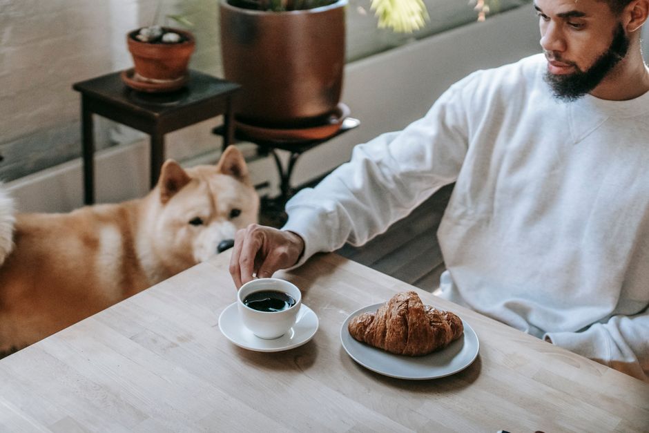 犬のうんちが臭い…フードの見直しで改善できる?原因と選び方